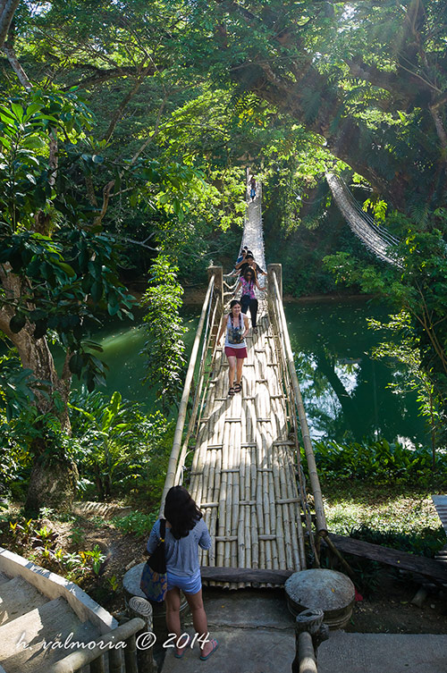 Hanging bamboo bridge