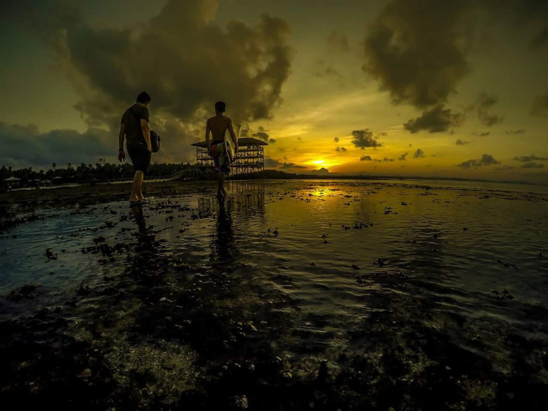 The pro surfers