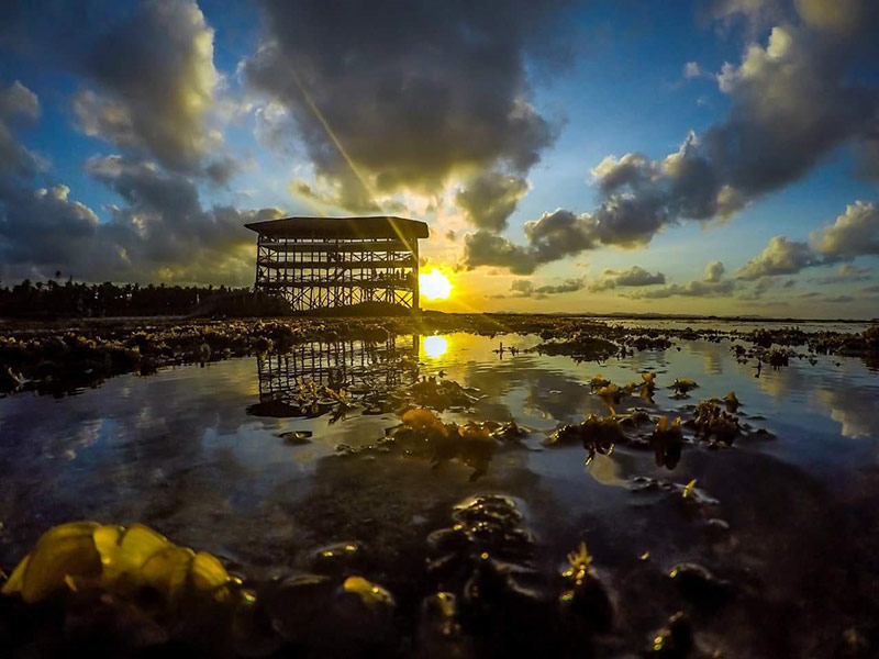 Siargao boardwalk sunset