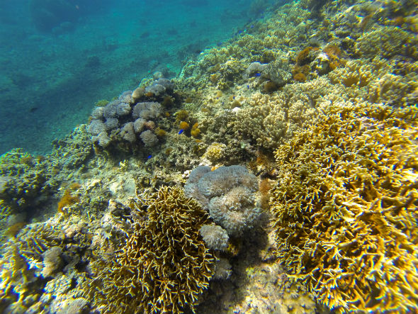 Pescador Underwater Shot