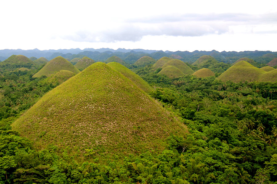 Chocolate Hills